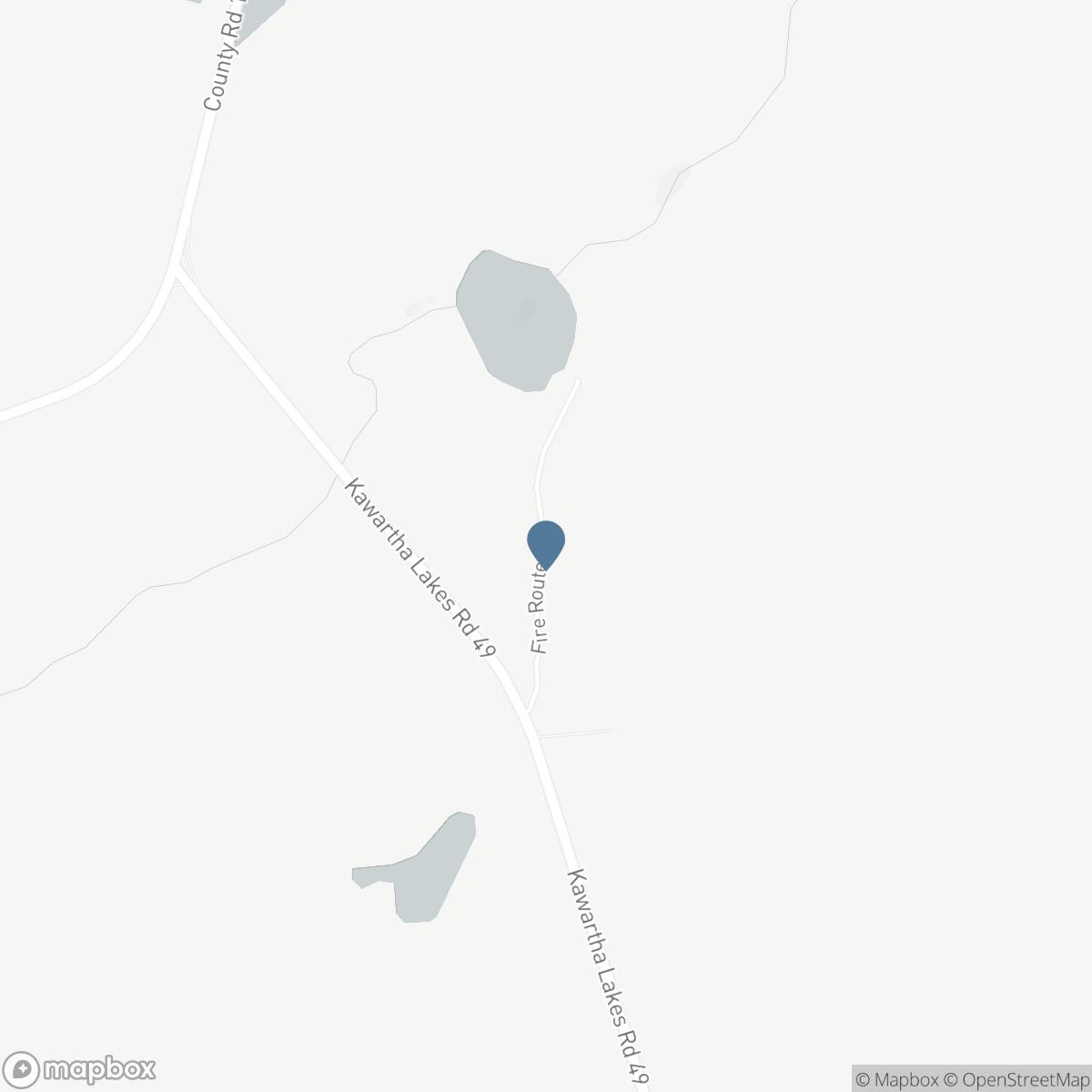 53 FIRE ROUTE 400 ROAD, Trent Lakes, Ontario K0M 1C0